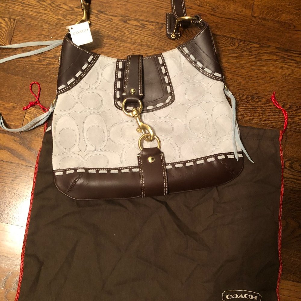 Coach Purse (vintage suede)